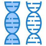 sangre del cordon umbilical